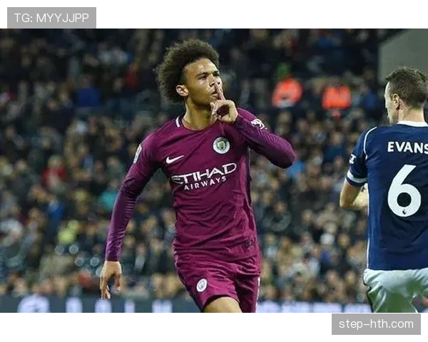 萨内射门区域分布解析 萨内射门区域分布解析